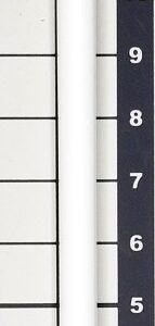 #KCL403 - Doe Foot Lip Brush